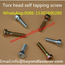 Torx Boulons